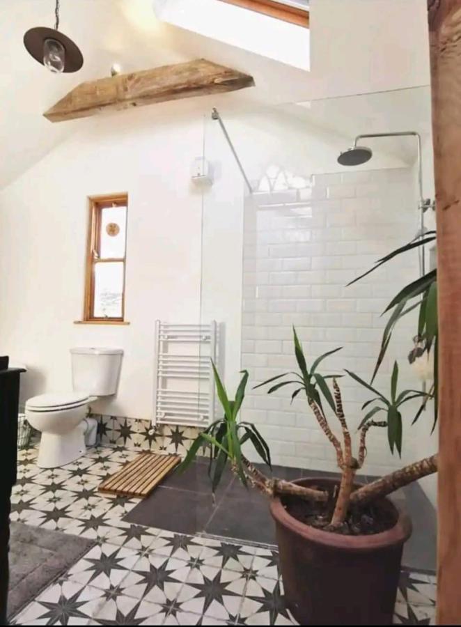 شقة The Carton Store Loft Apt كورك المظهر الخارجي الصورة